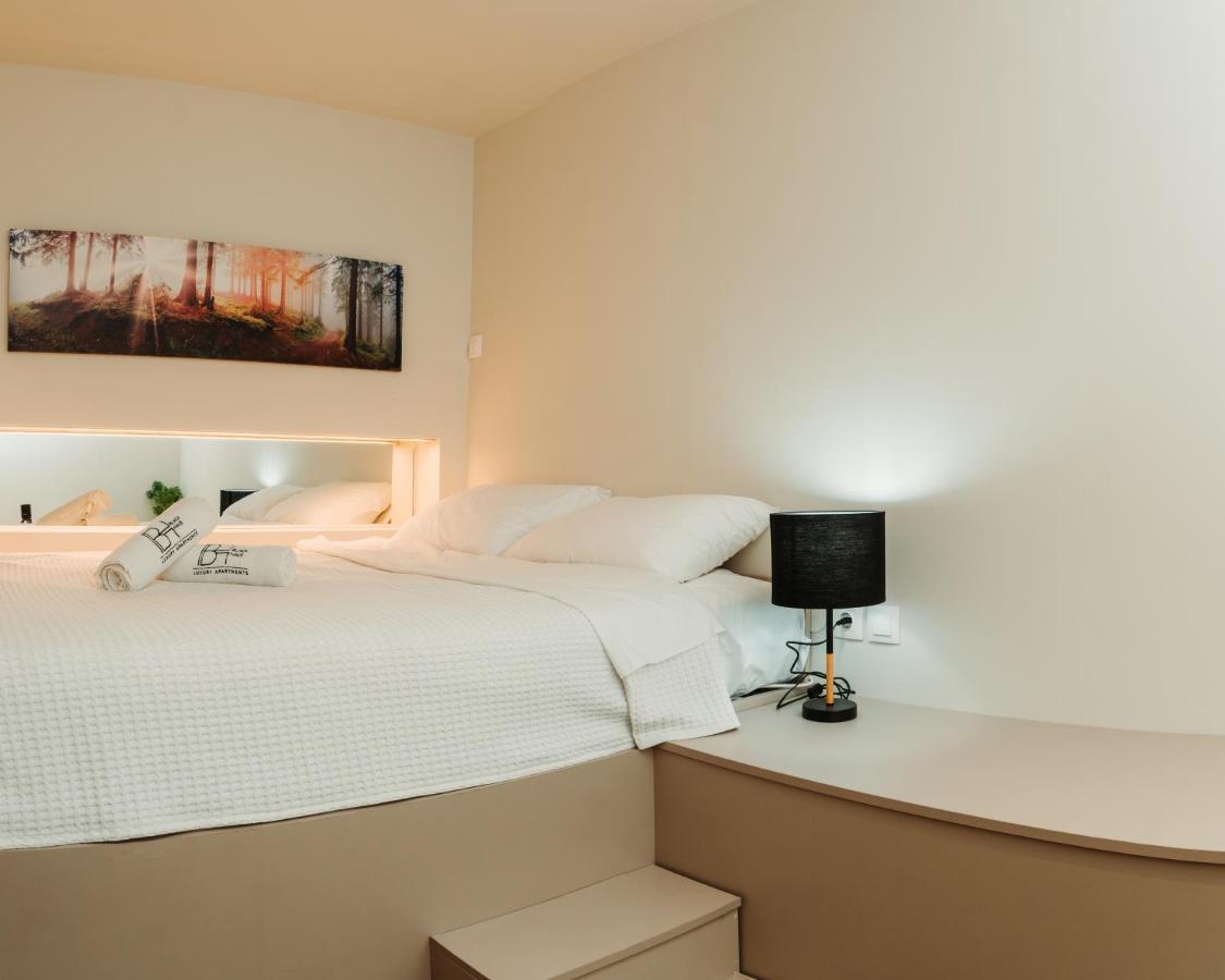 Blackhaus Family And Friends Deluxe Apartment Thessalonique Extérieur photo